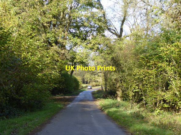 Photo 6"x4" Lane through Worton Wood Ledwell c2016
