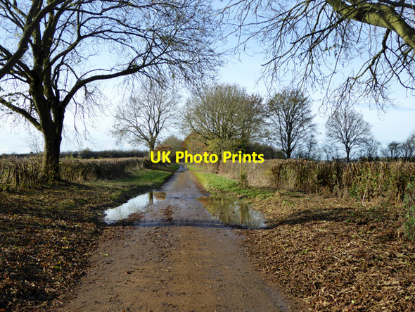 Photo 6"x4" Lane towards Hornton Balscote c2016