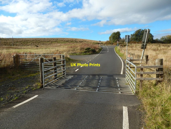 Photo 6"x4" Cattle grid on Dougliehill Road Port Glasgow c2016