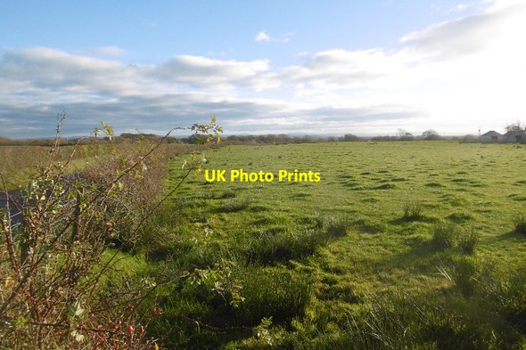 Photo 6"x4" Pasture, Sevenacres Mains Benslie c2016