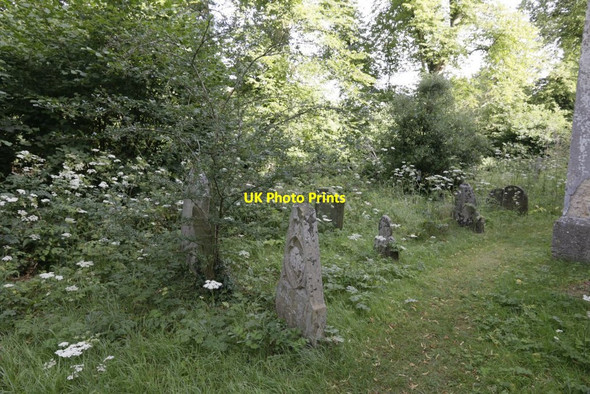 Photo 6"x4" Path round the Back Oxford\/SP5106 c2016