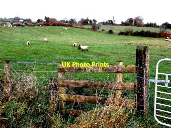 Photo 6"x4" Drumnaforbe \/ Drumrawn Drumquin c2016