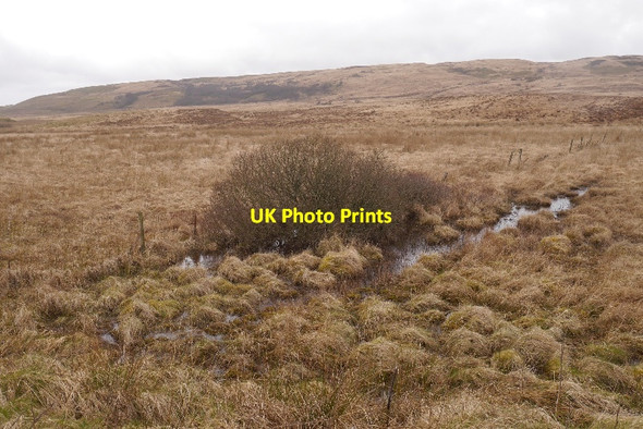 Photo 6"x4" Cachlaidh Mh\u00c3\u00b2r Daill\/NR3662 c2016