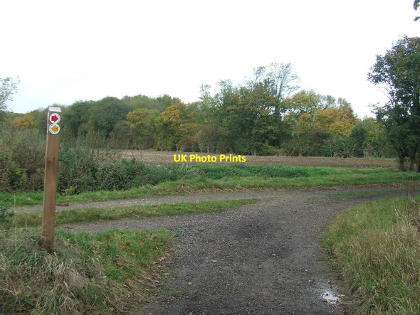 Photo 6"x4" Footpath And Sign Great Sampford c2016