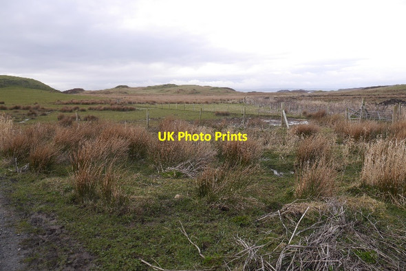 Photo 6"x4" Wetland, Upper Killeyan Allt na Muice c2016