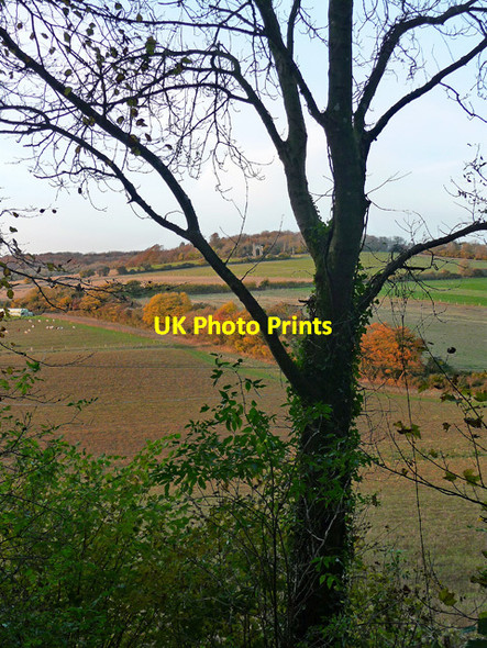 Photo 6"x4" Farmland near Slindon Slindon\/SU9608 c2016