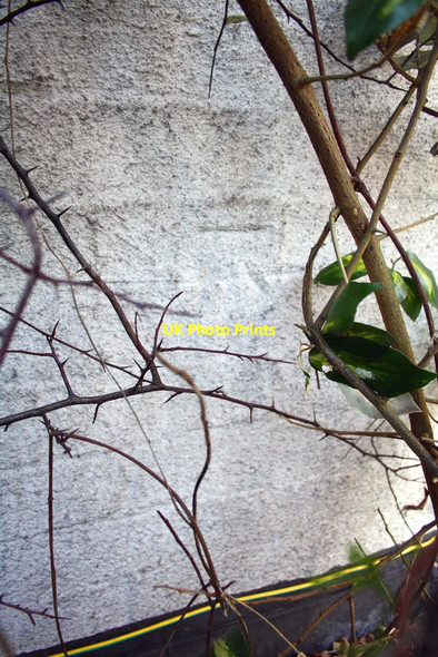 Photo 6"x4" Benchmark on #159 Easthampstead Road Wokingham c2015