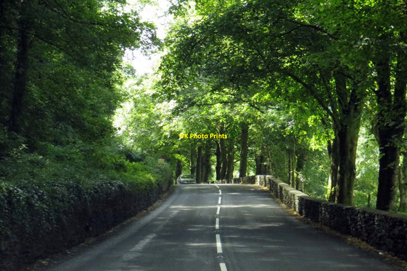 Photo 6"x4" The A470 heading south Betws-y-Coed c2015