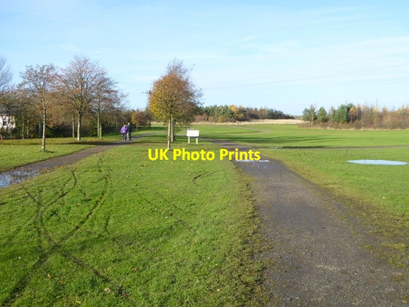 Photo 6"x4" A corner of Herrington Country Park New Herrington c2016
