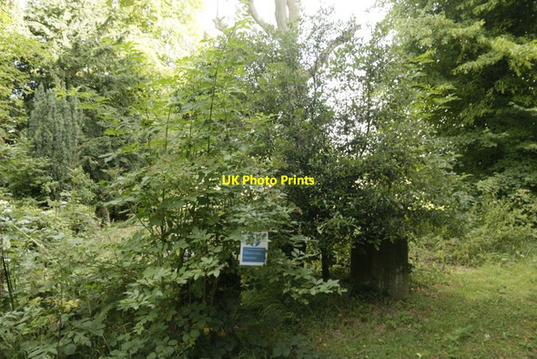 Photo 6"x4" Sign in the Bush Oxford\/SP5106 c2016