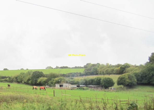 Photo 6"x4" View from a Plymouth-Exeter train - fields near Wrigwell Combe Fishacre c2016