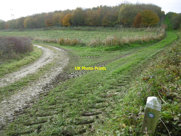 Photo 6"x4" Long Bredy, bridleway junction Long Bredy c2016