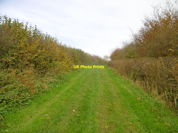 Photo 6"x4" Long Bredy, bridleway Kingston Russell c2016