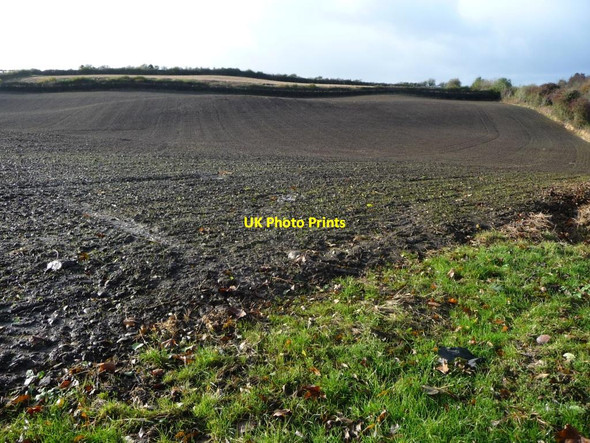 Photo 6"x4" Greening field between Flookburgh and Cark Cark c2016
