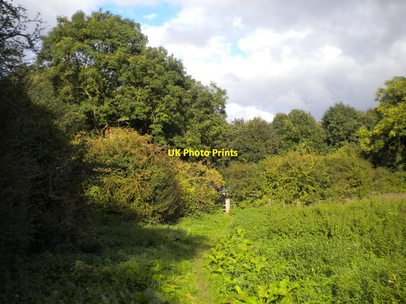 Photo 6"x4" Footpath approaching Stoke Lane west of Stoke Bardolph Stoke Bardolph c2016