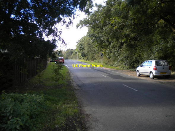 Photo 6"x4" Stoke Lane near Top Row Cottages (1) Stoke Bardolph c2016