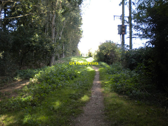 Photo 6"x4" Footpath to Stoke Bardolph (1) Stoke Bardolph c2016