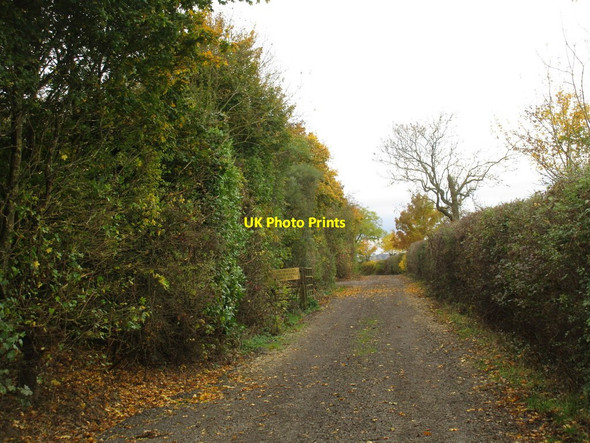 Photo 6"x4" Bridleway at Slapton Hill Farm Abthorpe c2016