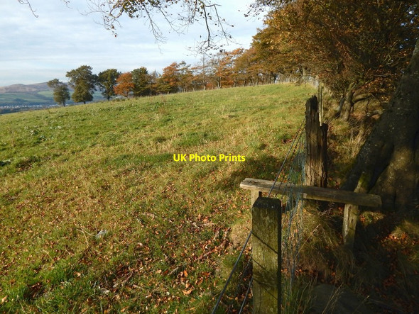 Photo 6"x4" The edge of a field Dumbarton c2016