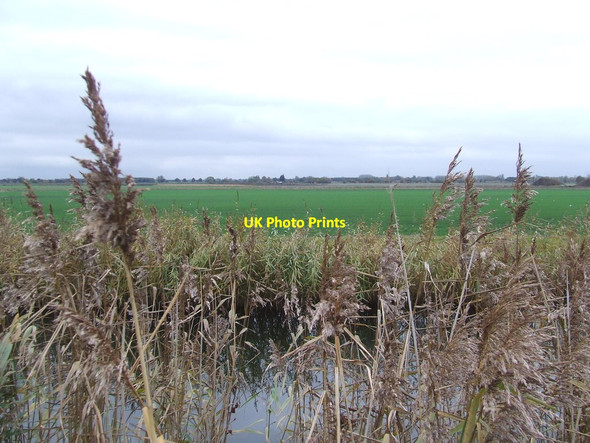 Photo 6"x4" View Across Reach Lode River Bank c2016