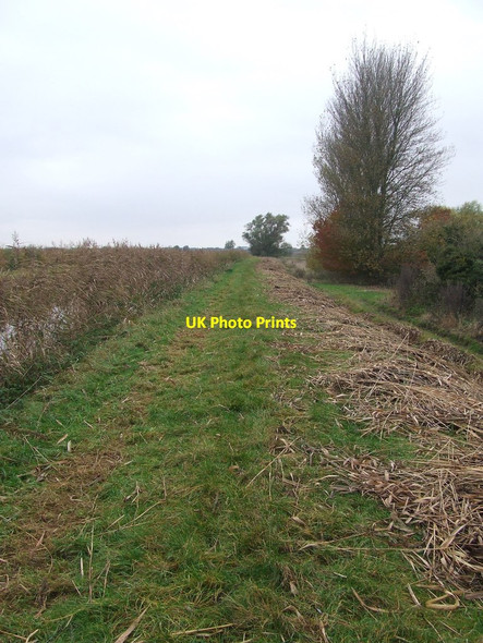 Photo 6"x4" Footpath Next To Reach Lode Reach\/TL5666 c2016