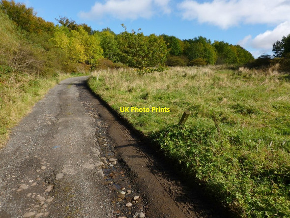 Photo 6"x4" Track to Highdykes Farm Alexandria c2012