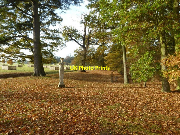 Photo 6"x4" Autumn in the Shrubbery in Croome High Green\/SO8745 c2016