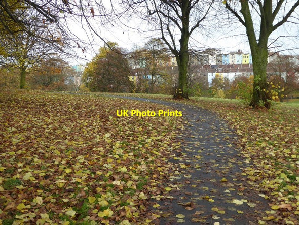 Photo 6"x4" Fallen leaves in Victoria Park Windmill Hill\/ST5971 c2016