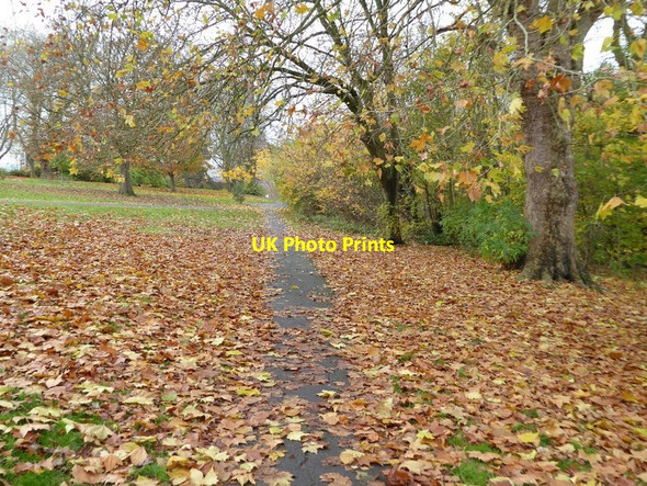 Photo 6"x4" Fallen leaves in Victoria Park Windmill Hill\/ST5971 c2016 P1