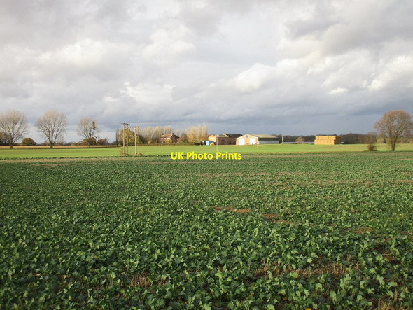 Photo 6"x4" Brecks Farm Darlton c2016