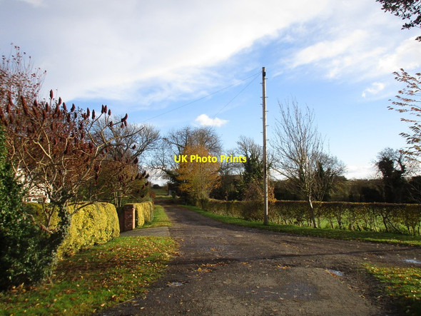 Photo 6"x4" Entrance to Kingshaugh Farm Darlton c2016