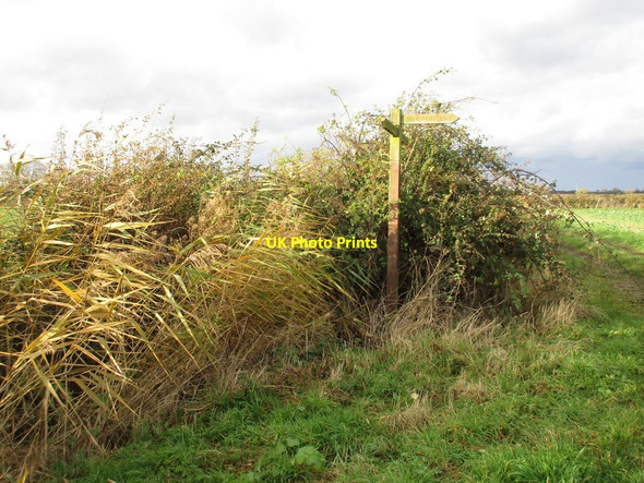 Photo 6"x4" Reedy drain and footpath sign East Drayton c2016