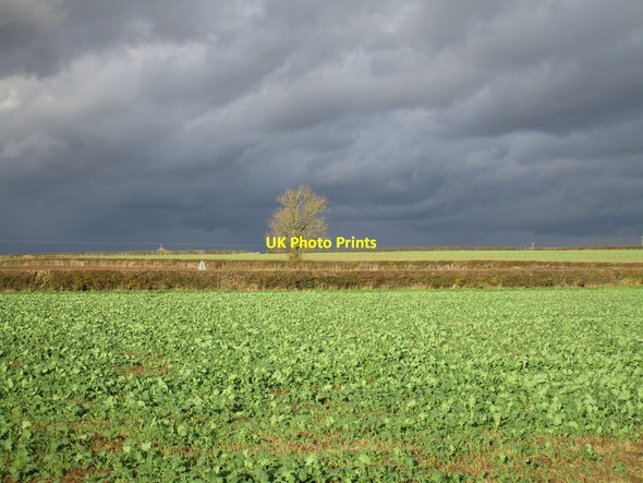 Photo 6"x4" Oilseed rape and threatening sky East Drayton c2016