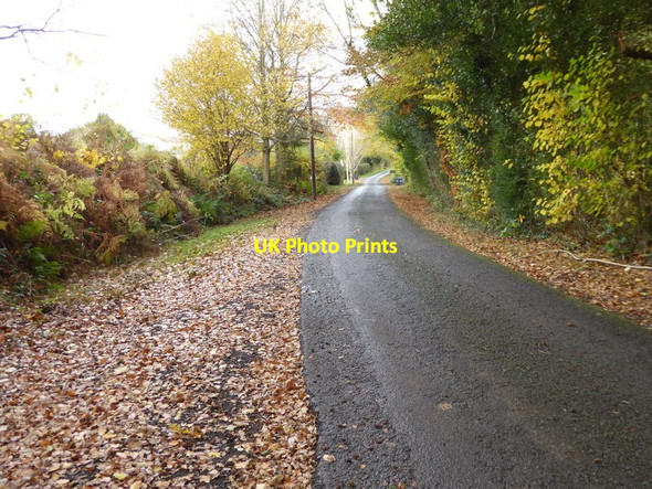 Photo 6"x4" Broxmead Lane looking east Bolney c2016