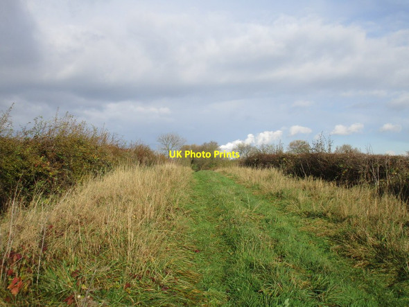 Photo 6"x4" Wood Lane South Leverton c2016