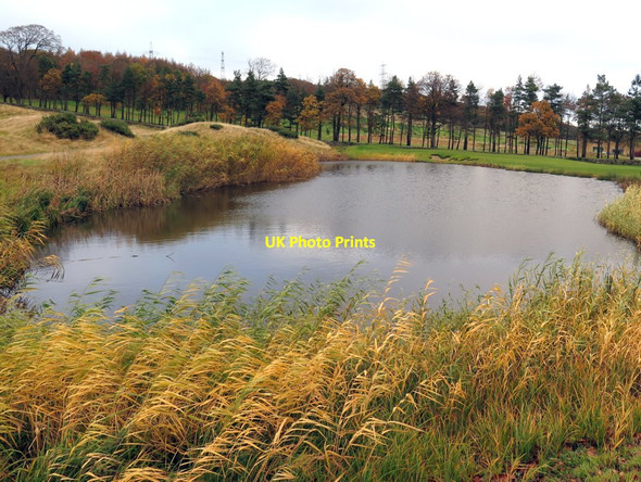 Photo 6"x4" Pond on Close House Golf Course Houghton\/NZ1266 c2016