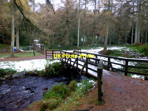 Photo 6"x4" Footbridge, Gortin Glens Forest Park Gortin c2016