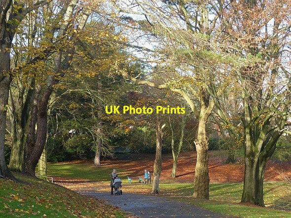 Photo 6"x4" A stroll in the autumn sunlight, Belle Vue Park Newport\/Casnewydd c2016