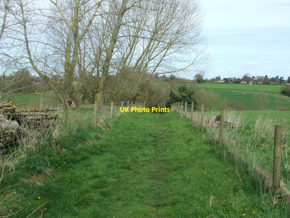 Photo 6"x4" Green Footpath Boxted Cross c2016