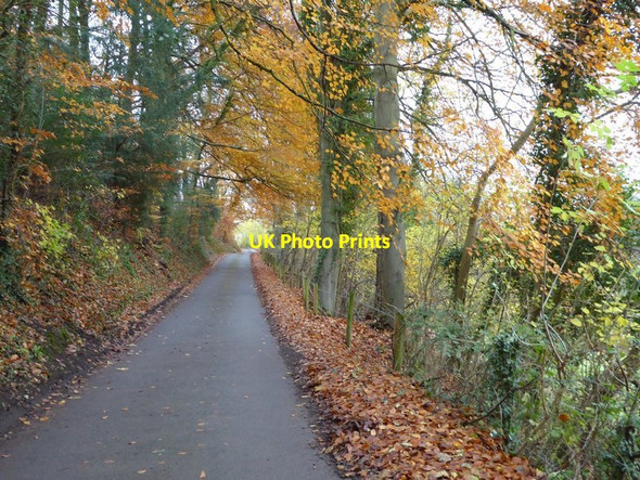 Photo 6"x4" Knapp Hill Slad c2016