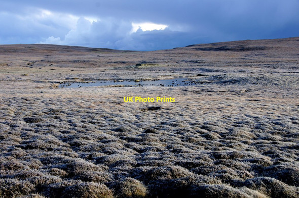 Photo 6"x4" Frosty heather at Brecka Water, Uyeasound Uyeasound c2016