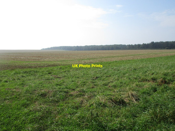 Photo 6"x4" Extensive stubble field Sproxton\/SK8524 c2016