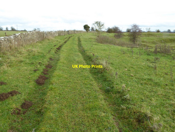 Photo 6"x4" Footpath and track Bubblewell c2016