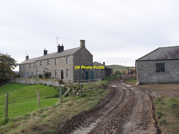 Photo 6"x4" Shawdon wood House Farm Cottages Titlington c2016