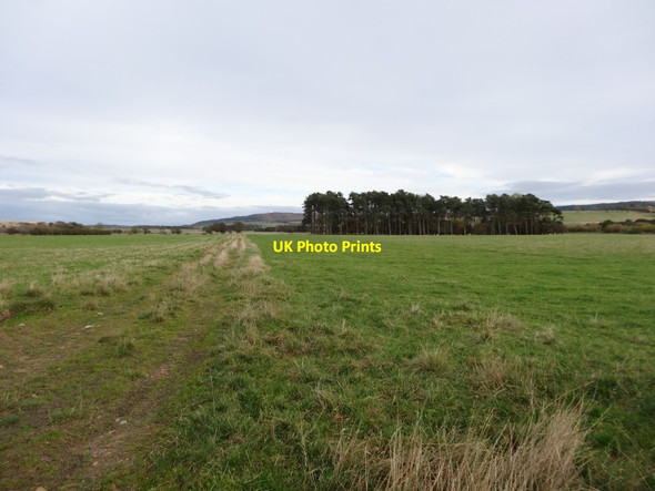 Photo 6"x4" Footpath towards West Bolton Bolton\/NU1013 c2016