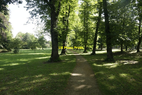 Photo 6"x4" Path through the park Oxford\/SP5106 c2016