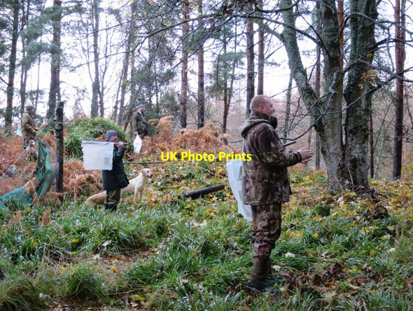 Photo 6"x4" Altyre beaters on the edge Woodside\/NJ0555 c2016