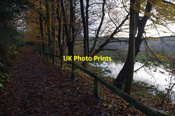 Photo 6"x4" Footpath near Hawes Water Waterslack c2016