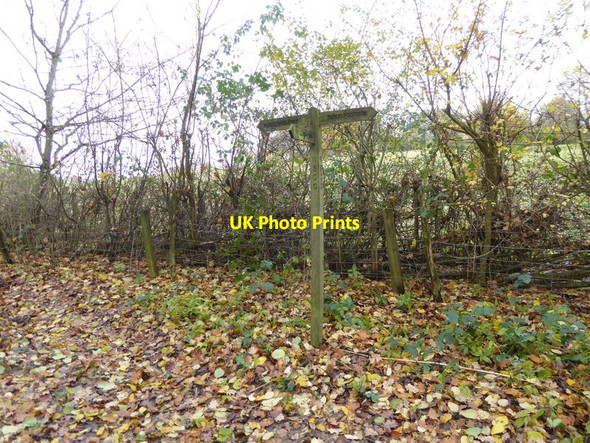 Photo 6"x4" Bridleway and footpath junction in Drewitt's Wood Crabtree\/TQ2225 c2016