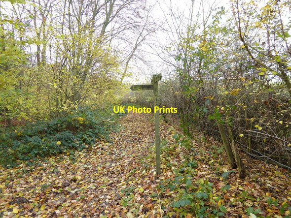 Photo 6"x4" Footpath meets bridleway corner in Drewitt's Wood Crabtree\/TQ2225 c2016